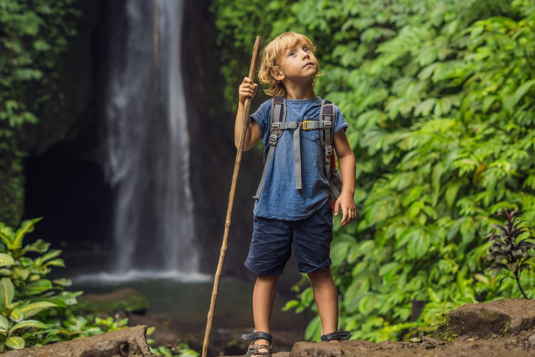 Bali: Excursão ao Norte de Bali com Jatiluwih, Ulun Danu, Cascata.