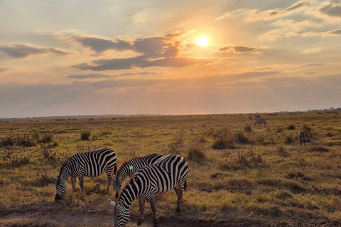 Nairobi National Park Evening and Sundowner Game Drive