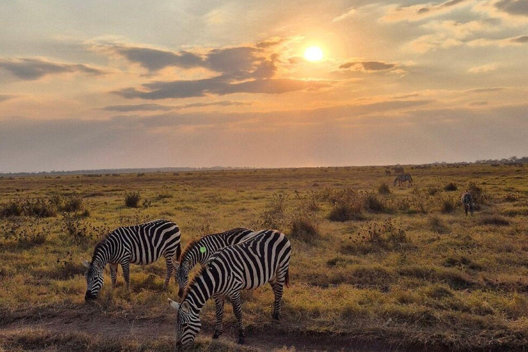 Nairobi National Park Evening and Sundowner Game Drive
