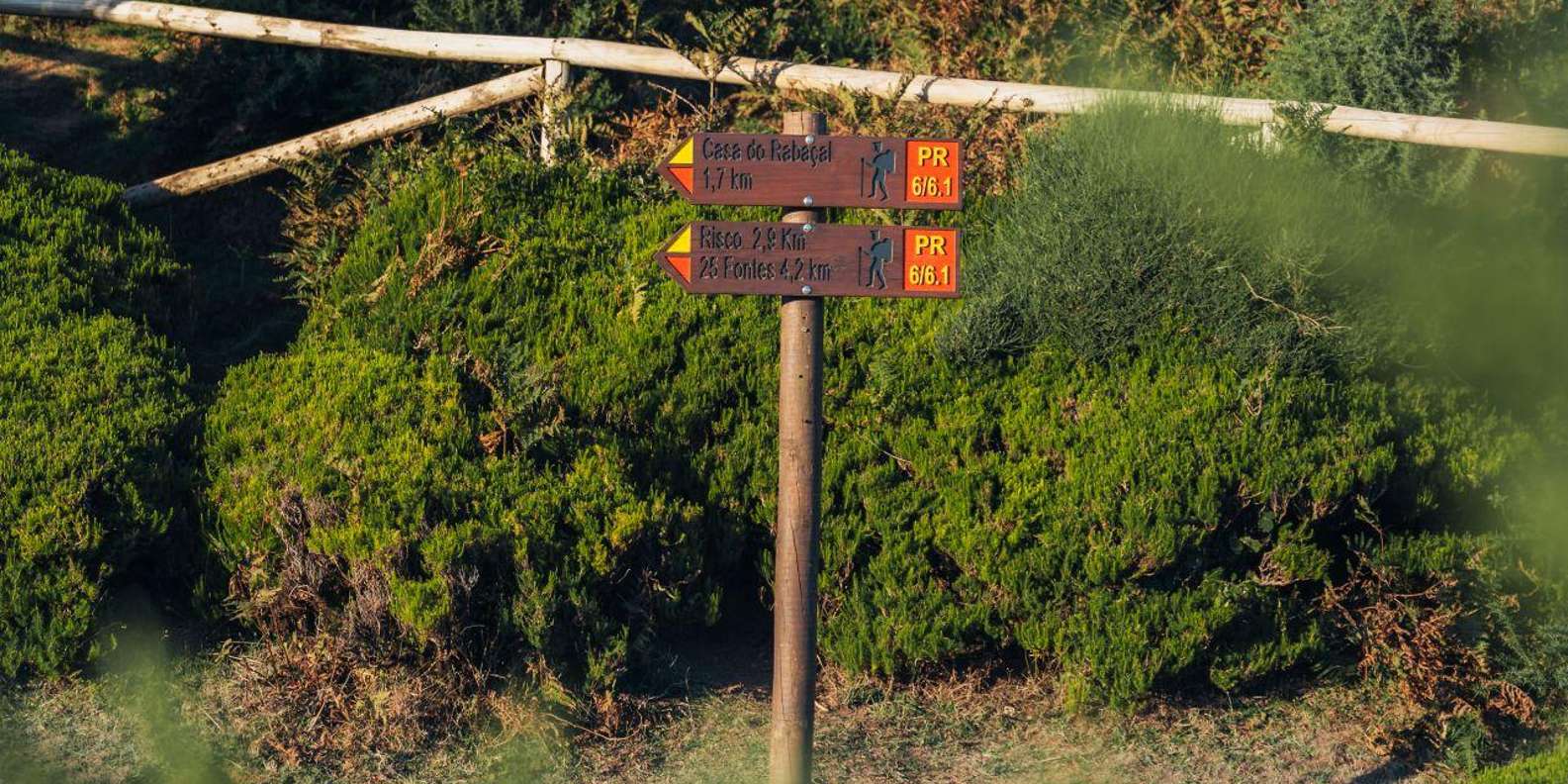 section