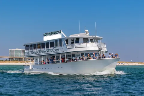 Orange Beach: Dolphin Cruise