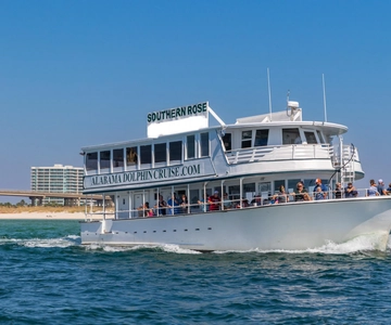 Orange Beach: Cruzeiro com golfinhos