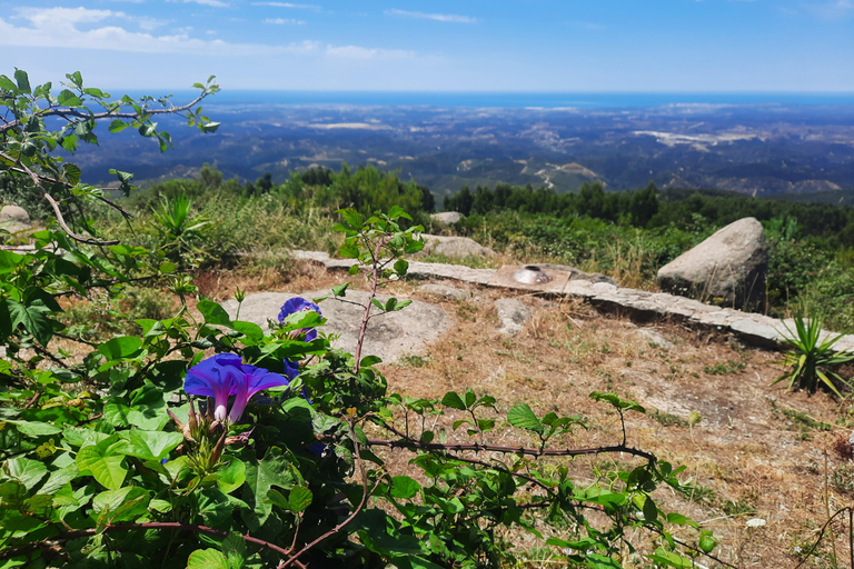 Monchique & Silves: guided day trip