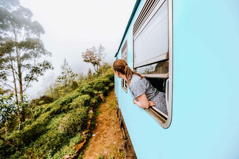 Kandy To Nanuoya Drop Tour & Morning Ella Train Journey Kandy To Nanuoya Drop Tour & Morning Ella Train Journey Car*