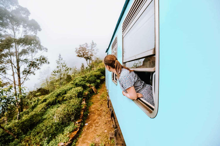 Kandy To Nanuoya Drop Tour & Morning Ella Train Journey Kandy To Nanuoya Drop Tour & Morning Ella Train Journey Car*