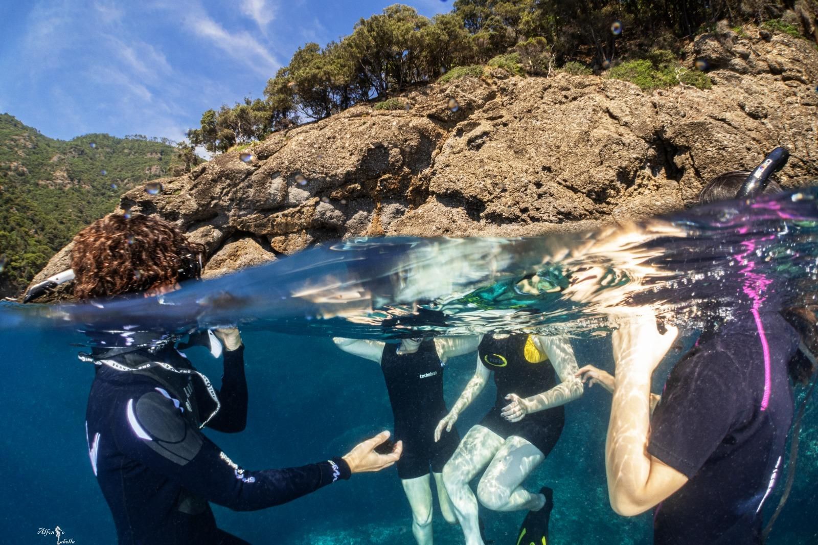 AMP Portofino: Naturalistisches Schnorcheln