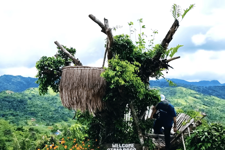 Cebu City : Voyage à travers l'histoire et la culture, visite de la ville