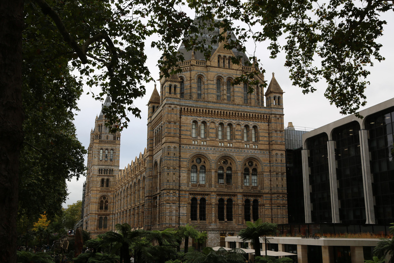 London: Natural History Museum Express Tour & Audio App