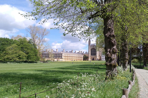 Royal Cambridge: Guided Tour of King's College & Chapel