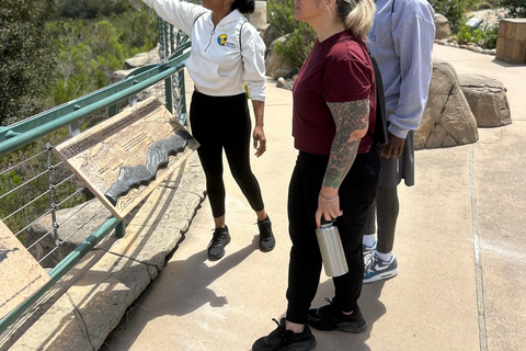 San Diego: Guided Meditation and Mountain Hike Tour