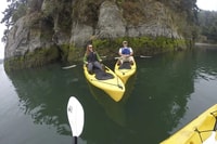 Brookings, visite de Kayak dans l'océan Pacifique - Hizvo