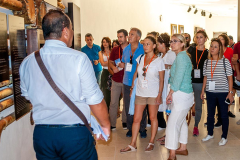 Doha : Visite guidée de la ville avec Souq Waqif et l&#039;île aux perles