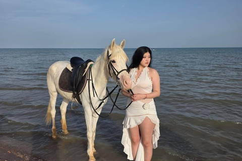 Hurghada: 1 HR Red Sea Swimming with Horses with Transfers Exclusive Family Package – 1 HR with Swimming & Transfers