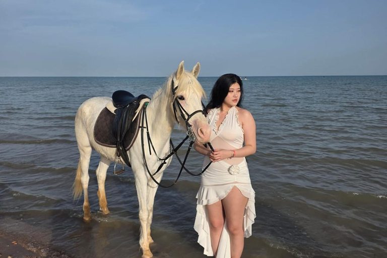 Hurghada: 1 HR Red Sea Swimming with Horses with Transfers Exclusive Family Package – 1 HR with Swimming & Transfers
