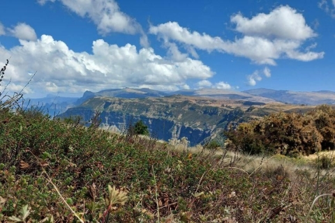 3 jours de trekking et d'observation de la faune dans les montagnes du Simien3 jours d'aventure, de repérage de la faune et de trekking dans le mont Simien