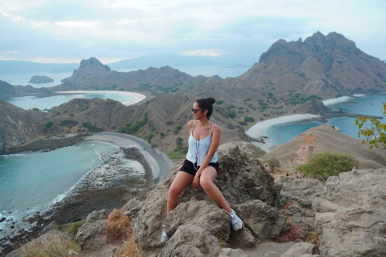 From Labuan Bajo: Komodo National Park Speedboat Day Trip