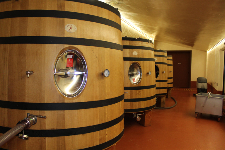 La Rioja: CM Matarromera Winery Tour