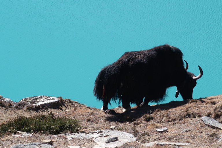 Trek del Campo Base dell&#039;Everest e del Lago di Gokyo - senza Passo Cho La