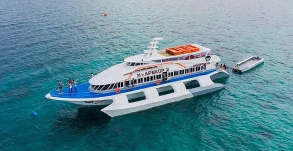 Bohol to Oslob Ferry | Convenient Whale Shark Watching Route