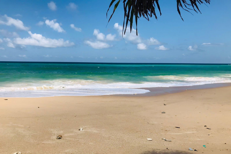 Colombo: Coastal Culture & Cinnamon Experience to Galle