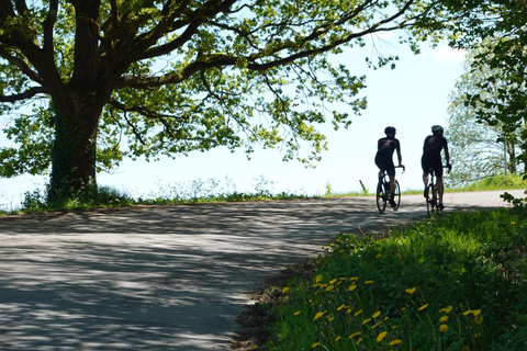 De Bruxelles à la Flandre : 100 km de cyclisme sur routeCircuit cycliste de Bruxelles à la Flandre