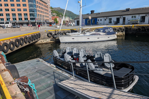 Bergen City Sightseeing Cruise by Lux Pontoon boat
