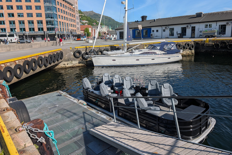 Bergen City Sightseeing Cruise by Lux Pontoon boat