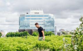Montreal: the capital of urban agriculture