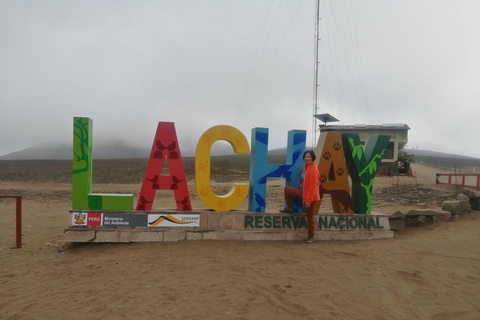 Wandelen in Lomas de Lachay in Lima