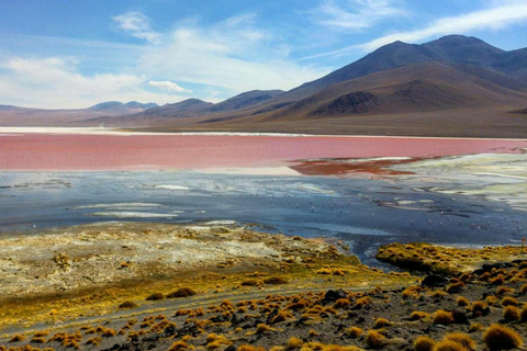 1D Privat tur till Laguna Colorada från Uyuni