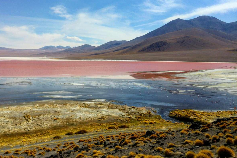 Excursão particular 1D à Laguna Colorada saindo de Uyuni