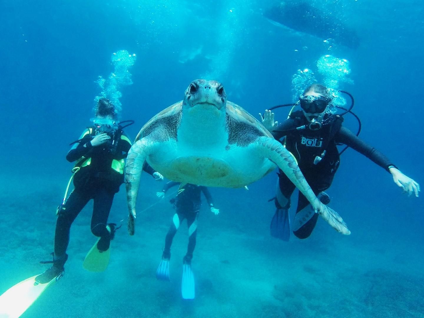 Erstmaliges Tauchen + Transfer ab Puerto de la Cruz