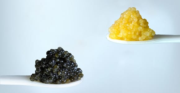 Caviar Tasting at Polezhaev Caviar Boutique Budapest