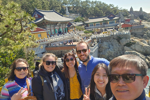 The Real Busan: Unique Storytelling Tour (Join or Private) Unique Storytelling Tour (Private Tour)