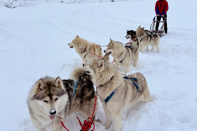Tbilisi: Private Gudauri tour with photographer guide
