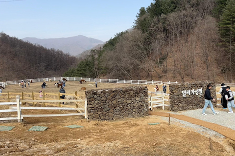 Gyeonggi: Alpaca & Sheep Ranch Admission Ticket in Gapyeong