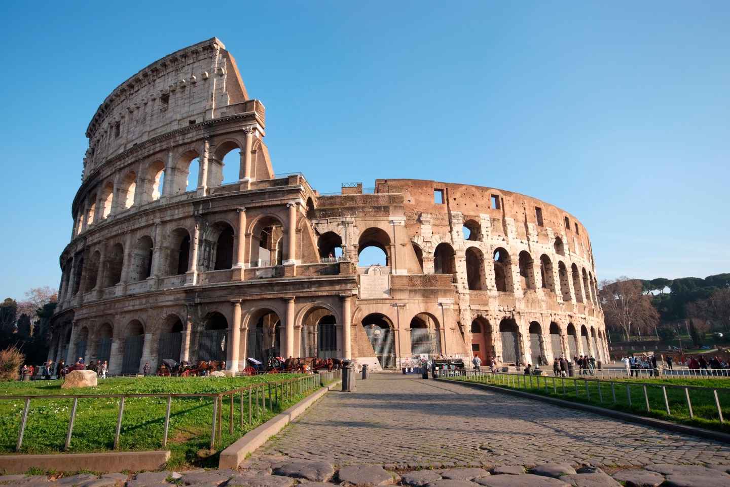 Rome: Colosseum, Palatine Hill & Roman Forum Guided Tour - Colosseum, Forum & Palatine Hill Tour up to 24 People