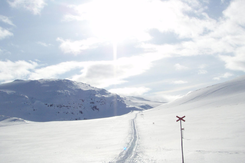 Kiruna: Escursione con le racchette da neve nel Parco Nazionale di Abisko con pranzo
