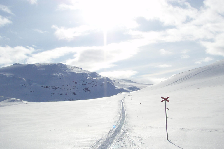Kiruna: Escursione con le racchette da neve nel Parco Nazionale di Abisko con pranzo