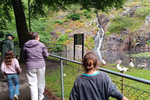 Slottsskogen Easy Hike, Observatory, and Zoo Tour