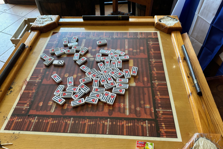 Miami Sightseeing Cruise & City Tour plus water Shuttle South Beach Start at 11:30am