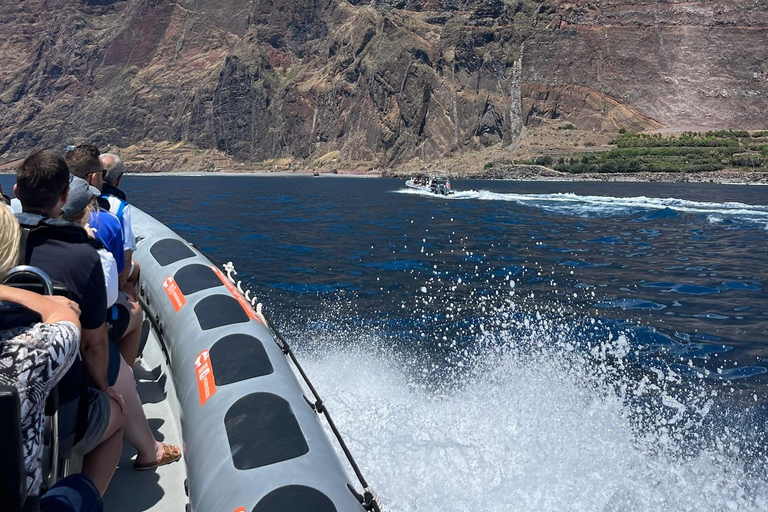Boat Trip - Ponta de São Lourenço + Snorkeling Snorkeling Experience - Ponta de São Lourenço