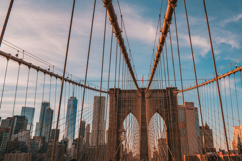 Old New York: Financial District & Immigrant History Tour Historic Downtown: 5-Hour Comprehensive Private Tour