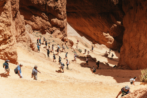 Las Vegas: Bryce and Zion National Parks Tour with Lunch