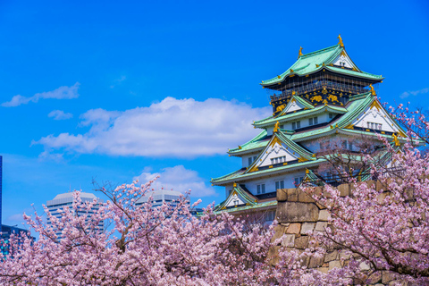Osaka and Nara Day Tour with Private Transportation