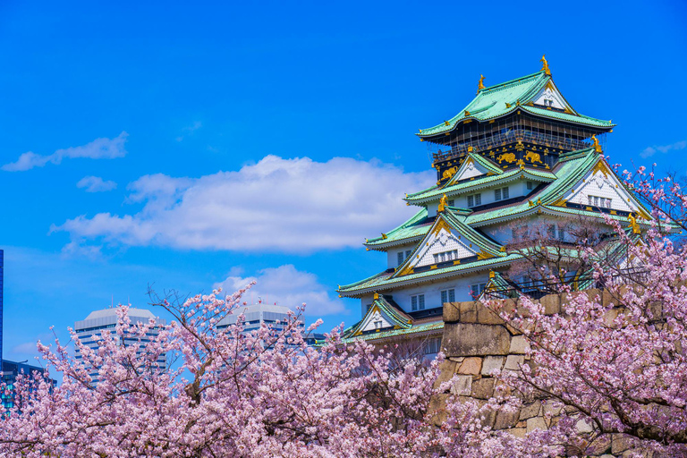 Osaka and Nara Day Tour with Private Transportation