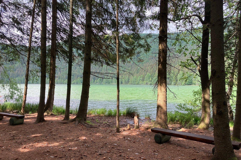 Brasov: Saint Ana Lake & Red Lake Tour