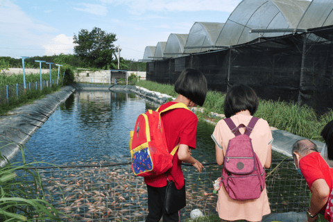 بينانج: جولة مزرعة قرية الفانيليا بواسطة كايروس