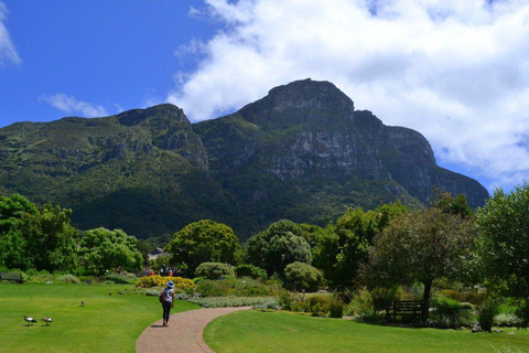 Visite des jardins de Kirstenbosch, des manchots de Bo-Kaap et de la péninsule du Cap