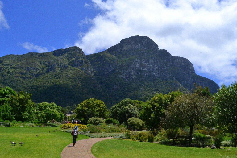 Kirstenbosch trädgård, Bo-Kaap-pingviner och Kaphalvön